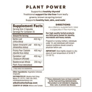 The Restore Bundle - Sea Moss & Bladderwrack, Plant Power (Chlorophyll), and Burdock Root
