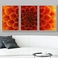 thumbnail image 3 of wall26 Framed Canvas Print Wall Art Orange Chrysanthemum Flower Petal Close Up Floral Botanical Photography Modern Rustic Relax/Calm Colorful for Living Room, Bedroom, Office - 16"x24"x3 Wh, 3 of 5