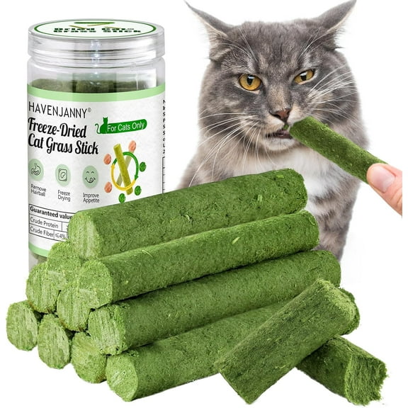 HavenJanny 50g/1.76oz Cat Grass Teething Stick, Cat Grass Stick Canned for Indoor Cats, Cats Treats Hairball Relief and Teeth Cleaning