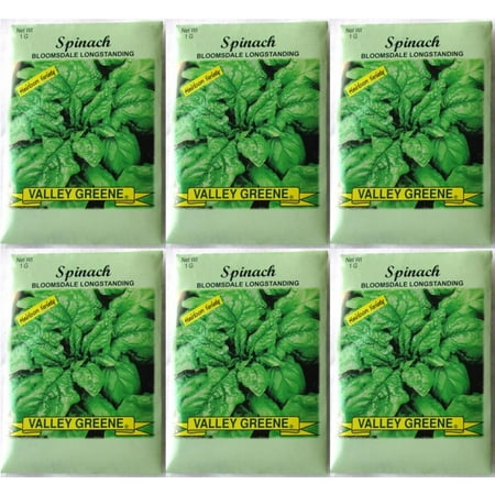 Knott Garden Valley Greene (6 Pack) 1 gram/Package Bloomsdale Longstanding Spinach Heirloom Variety Seeds ()