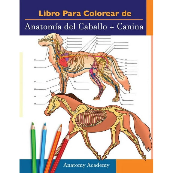Libro para colorear de Anatomía del Caballo Canina: 2-en-1 Compilación Libro de colores de autoevaluación para estudia, (Paperback)