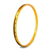 Se Bikes J24SG SE Bikes 24in J24SG Gold 36