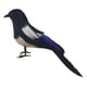 thumbnail image 4 of Pájaro de simulación de urraca, artesanías de pájaros artificiales, figuras de pájaros realistas para arte de jardín 17cm, 4 of 9