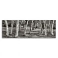 thumbnail image 3 of 42"x14" Birch Trees No.1 by Alan Blaustein Wall Art Print on Canvas Fabric White, 3 of 3