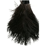 NOBRAND EverClean Ostrich Feather Duster - Walmart.com