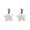 Silver, variant on JOLLGII Personalized Star and Moon Pet ID Tag, Engraved Stainless Steel Nameplate, Custom Name and Phone Number, Celestial Pendant For Cats and Small Dogs, Lightweight Smooth Finish(S,Gold)