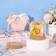thumbnail image 5 of 2 Set Glass Display Dome with Cork Base 3.1x2.8 inch Tabletop Centerpiece Cloche Bell Jar for Flower Plants Specimens Crafts Decorations Inner Diameter: 76mm, 5 of 6