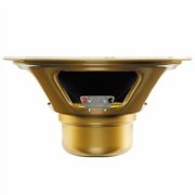 Celestion G10 Gold 10 Guitar Speaker