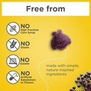 Zarbees Daily Immune Support* Gummies, Real Elderberry, Vitamins A, C, D3, Zinc, 60 Count