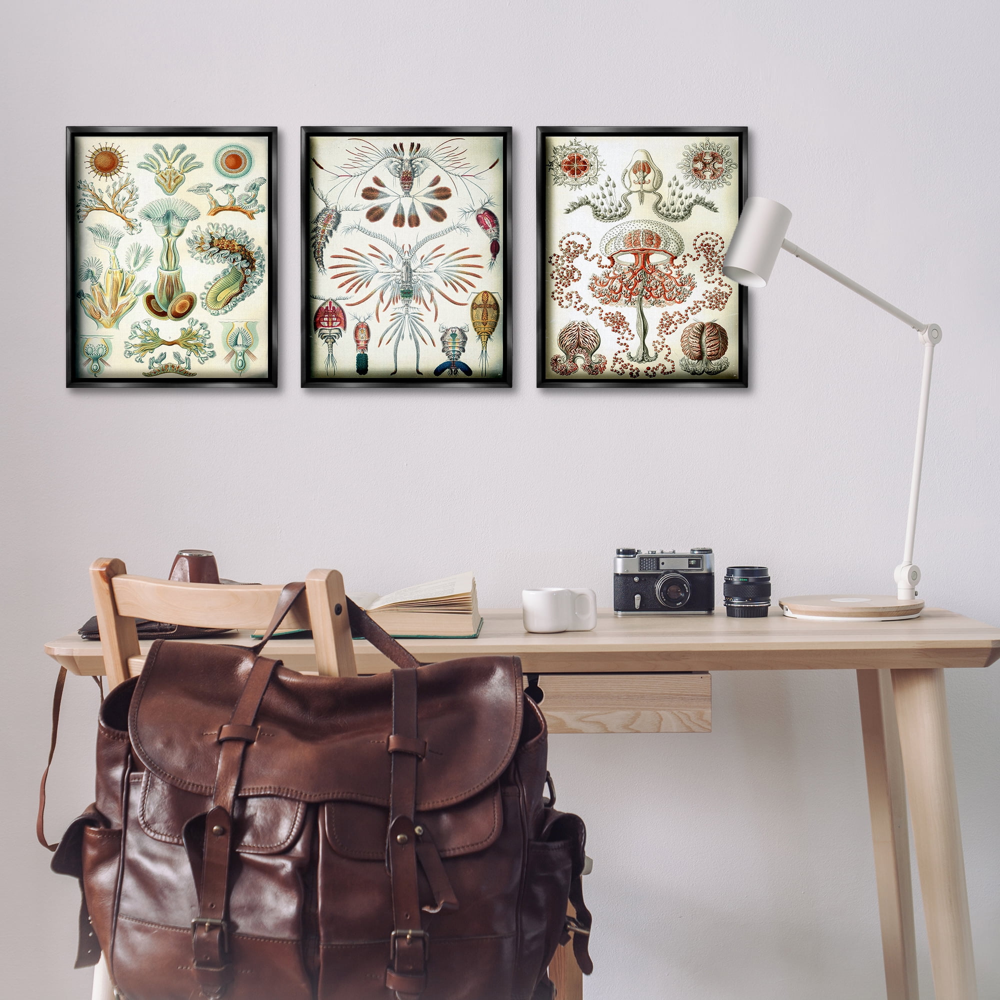 Stupell Industries Vintage Microscopic Crustaceans Animals Painting Black Floater Framed Canvas Art Print Wall Art, 17 x 21, Set of 3