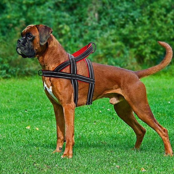 Pet Artist No Pull Dog Pet Harness Reflective Adjustable Nylon Padded Chest Vest with Handle