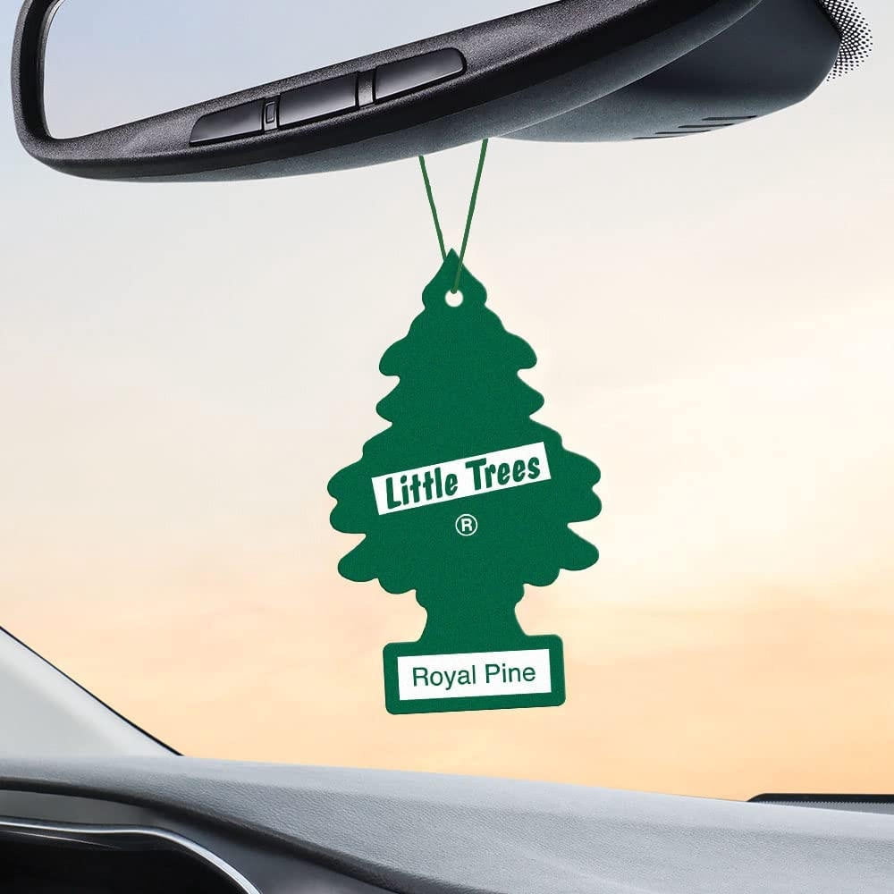 Little Trees 60101 Royal Pine Hanging Air Freshener for Car & Home 24 Pack!