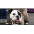 thumbnail image 2 of Bulldog with Tongue Novelty License Plate, 2 of 2