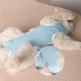 thumbnail image 4 of Cat's Recovery Suit for Post Surgery Protecting Anti-Licking Wound Kitten's Shirt Professional Surgical Shirt for After Spay Wear Pet E-Collar Substitute, 4 of 7