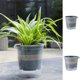 thumbnail image 1 of Maceta de autoriego Plástico transparente | Jardinera automática interior exterior para suculentas Hierbas Flores | Almacenamiento de humedad | 16,5x14,5x14,5cm o 12x11,5x11,5cm, 1 of 7