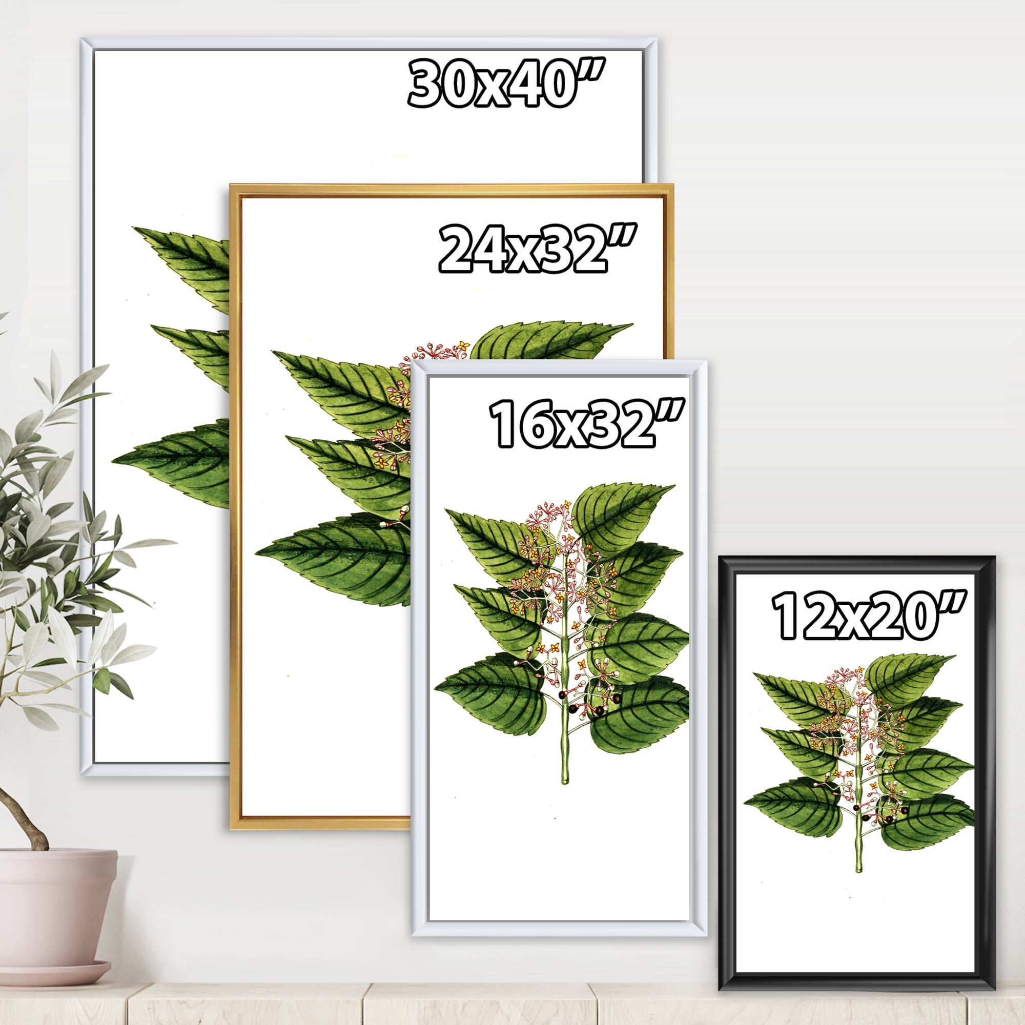 Designart 'Ancient Plant Life XXVI' Traditional Framed Canvas Wall Art Print