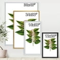 thumbnail image 3 of Ancient Plant Life XXVI 30 in x 40 in Framed Painting Canvas Art Print, by Designart, 3 of 5