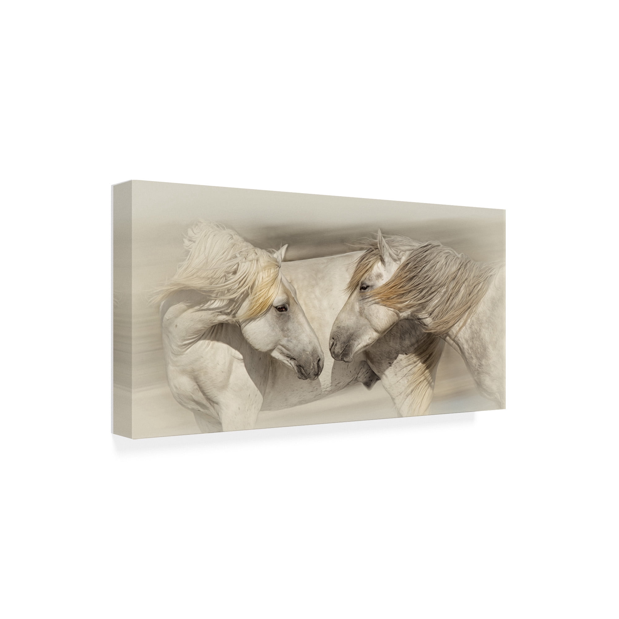Trademark Fine Art 'Old Acquaintances' Canvas Art by PHBurchett