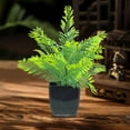 thumbnail image 5 of Dvruxg Small Artificial Plants Greenery Boxwood Fern Plants in Pots Mini Plastic Faux Potted Plant for Home Indoor Office Table Shelf Farmhouse Bathroom Aesthetic Decor, 5 of 5