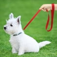 thumbnail image 5 of Pet Artist 4ft Nylon Dog Leash Rope for Small Dogs Pet Walking Leashes Durable and Comfortable, 5 of 11