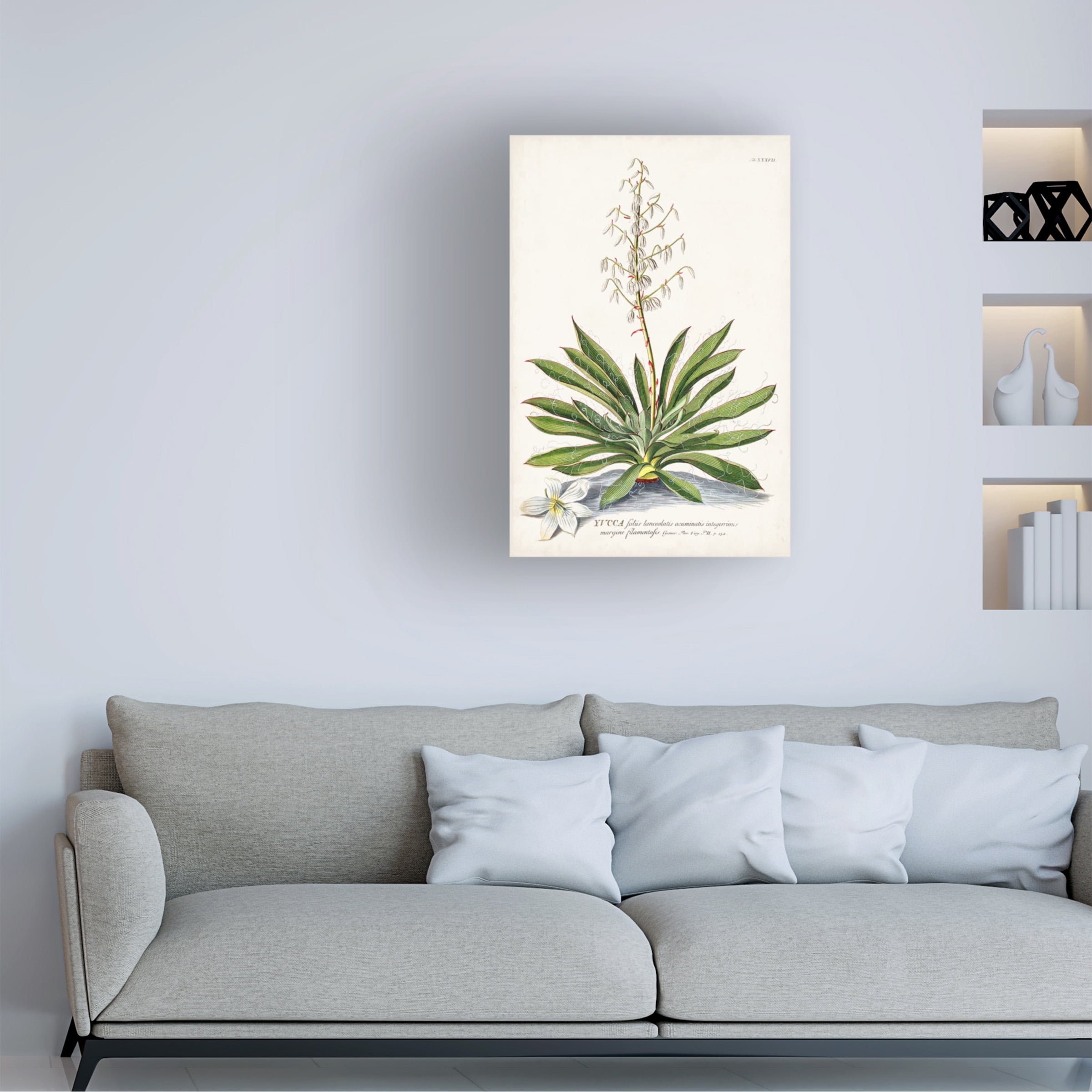 Unknown 'Alluring Botanical III' Canvas Art