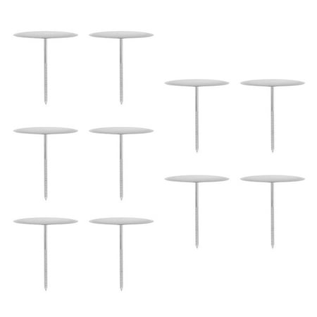 

Raindrops 10Pcs Cake Decorating Kit Flower Nails Silver 430 Stainless Steel for Bakers and DIY Enthusiasts