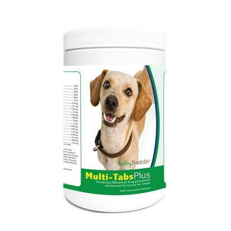 UPC: 0840235171751 | Healthy Breeds 840235171751 Chiweenie Multi-Tabs Plus Chewable Tablets – 365 Count