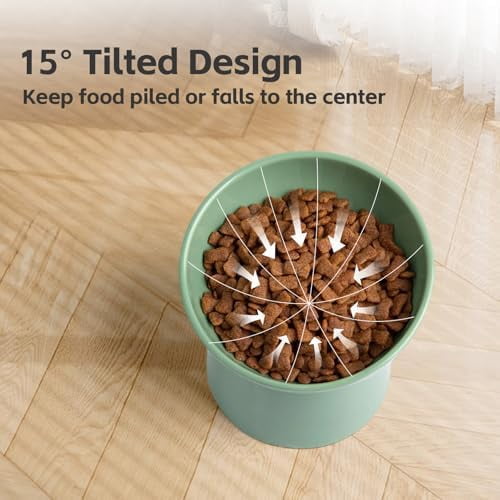 Raised Cat Bowl, Elevated Cat Food Bowls with Tilted Angle, Stress Free, Anti Vomiting, Ceramic Water Bowl for Cats Small Dogs Feeding Dish, 8 Ounces (Green-1)