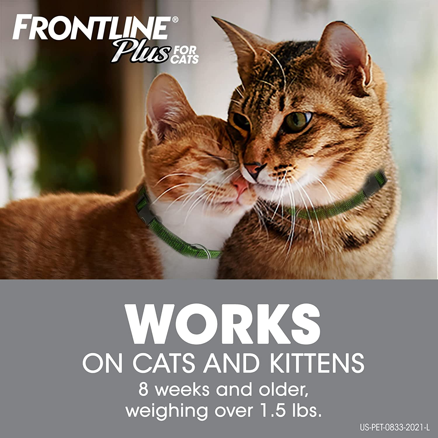 Frontline collar top for cats