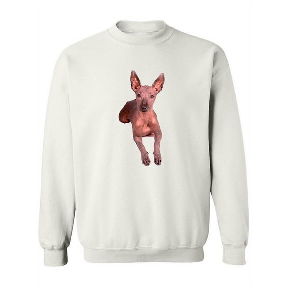 Mexican Xoloitzcuintli . Sweatshirt Women -Image by Shutterstock, Female 5X-Large
