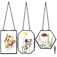 thumbnail image 1 of Marcos colgantes para flores prensadas FOCHIER, 3 unidades, con doble vidrio, 1 of 6