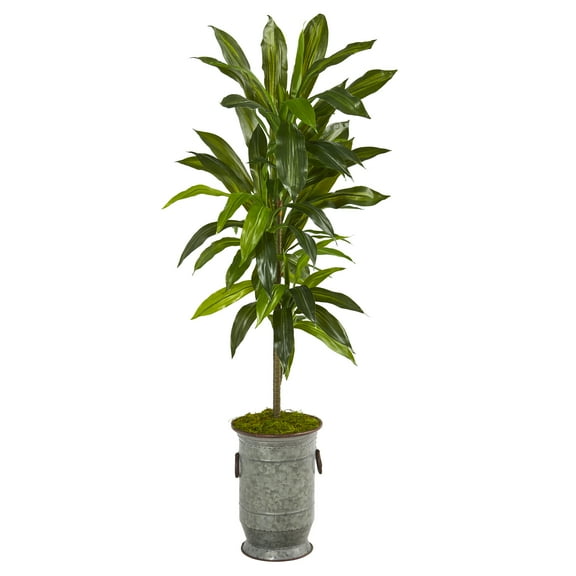4ft. Dracaena Artificial Plant in Vintage Metal Planter (Real Touch)