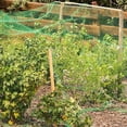 thumbnail image 4 of Amdohai Bird Netting Garden Net Anti Bird Protective Mesh Plants Flowers Fruit, 4 of 9