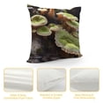 thumbnail image 4 of GOSMITH  Throw Pillow Cover - Rain-Wet Bracket Fungi Mushroom Shelf Fungi Fungi, 4 of 5