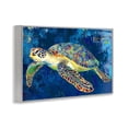 thumbnail image 3 of Stupell Industries Sea Turtle in Prismatic Colors Gray Framed Giclee Art, design by LSR Design Studio, 20 x 30, 3 of 8