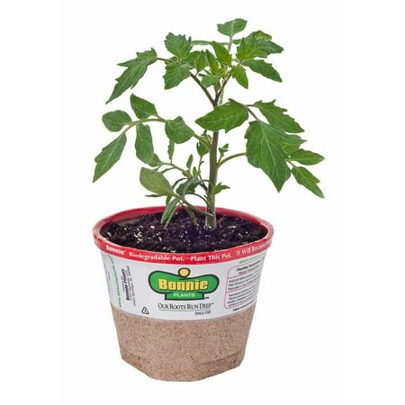 Bonnie Plant Food Reviews Bonnie Plant Food Reviews