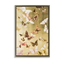 Stupell Industries Papillon Butterfly Array Animals & Insects Painting Brown Floater Framed Canvas Art Print Wall Art, 17 x 25