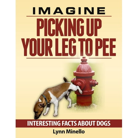 Imagine Picking Up Your Leg to Pee: Interesting Facts About Dogs - (Best Way To Clean Up Cat Pee)