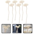 thumbnail image 2 of Miangastore 6pcs Dried Flower Diffuser Sticks Essential Oil Diffuser Aroma Diffuser Sticks, 2 of 9