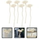 thumbnail image 4 of 6 piezas de difusor de flores de flores Aromaterapia Aceite esencial Difusor Palabos, 4 of 6