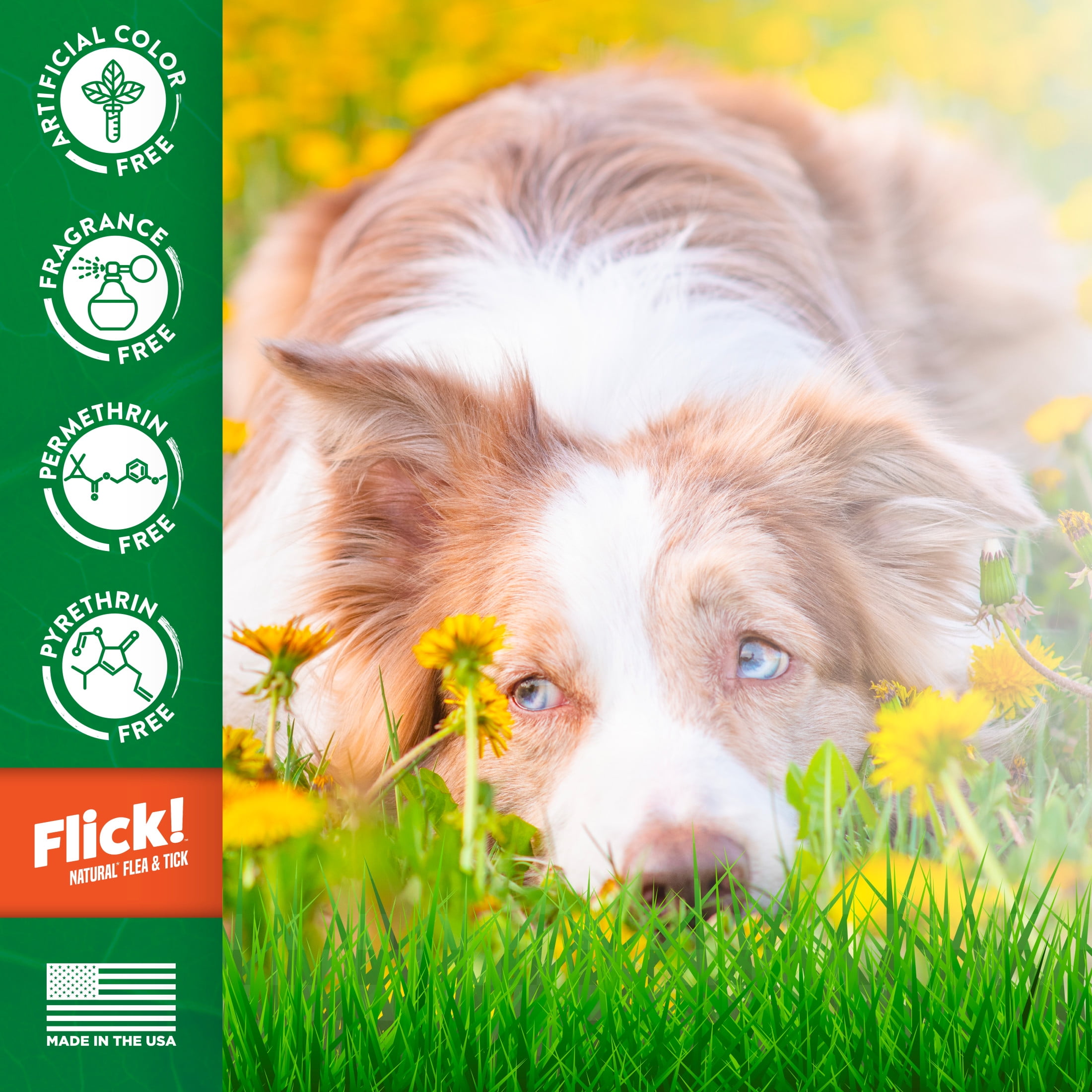 Naturel Promise Flick! Natural Flea & Tick Max Strength Spray for Dogs, 16oz