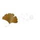 thumbnail image 1 of Escultura De Pared De Hojas De Ginkgo De Hierro Forjado Con Espejo Acrílico, Calcomanías De Peces, Decoración De Arte Abstracto Para Sala De Estar, Oficina, Hotel, Comedor, Restaurante, Casa, 1 of 8