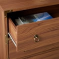 thumbnail image 6 of SAFAVIEH Galio Contemporary 3 Drawer Chest, Walnut/Gold (30.7 in. W x 18.5 in. D x 30.6 in. H), 6 of 15