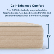 Bear Natural Latex Mattress, Full