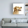 thumbnail image 3 of Victoria Barnes 'Pet Profile II' Canvas Art, 3 of 3
