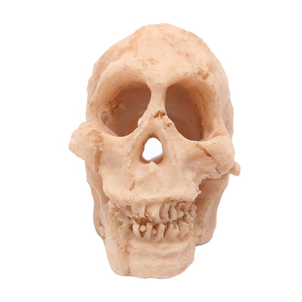 Injueey Acuario decoración paisajismo cabeza hueso cueva ornamento acuático Artificial Horror espeluznante decorativo pecera caja Prop Kits de decoración para fiestas Injueey HA069210-00B
