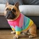 thumbnail image 2 of Suéter arcoíris para perros, ropa colorida tejida para perros de invierno para mascotas, 2 of 8