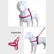 thumbnail image 3 of Methold Arnés para perros Chaleco reflectante para exteriores Chaleco reflectante para mascotas Manija acolchada Suave Suministros para perros Cielo azul S, 3 of 6