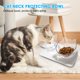 thumbnail image 2 of Comedero para gatos inclinado a 15° Comedero básico para mascotas Platos dobles antiestrés elevados con soporte, 2 of 9