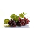 thumbnail image 2 of Grape Cluster with Leaves Wall Decal by Wallmonkeys Peel and Stick Graphic (36 in W x 24 in H) WM298668, 2 of 4